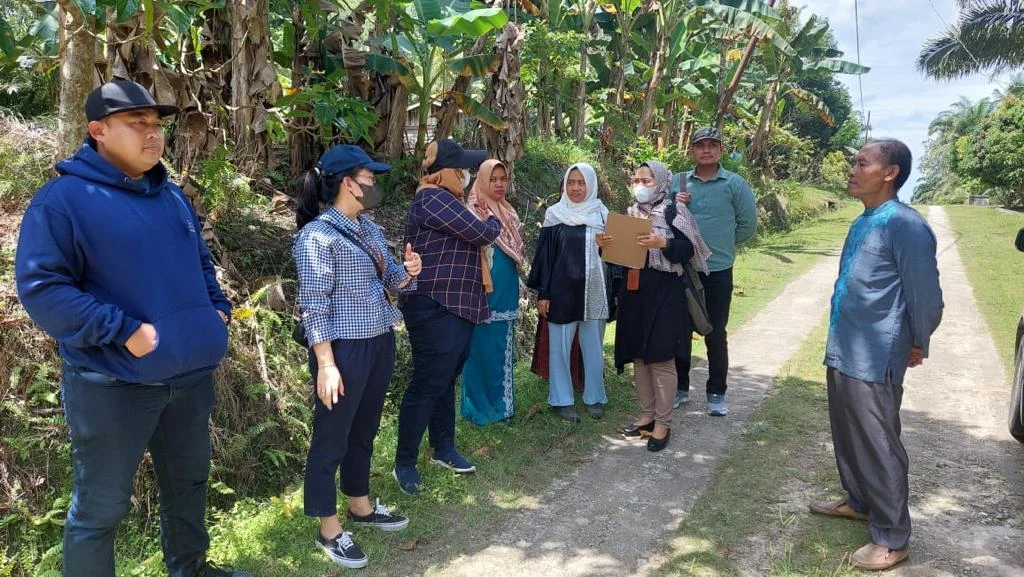 Pemeriksaan Setempat