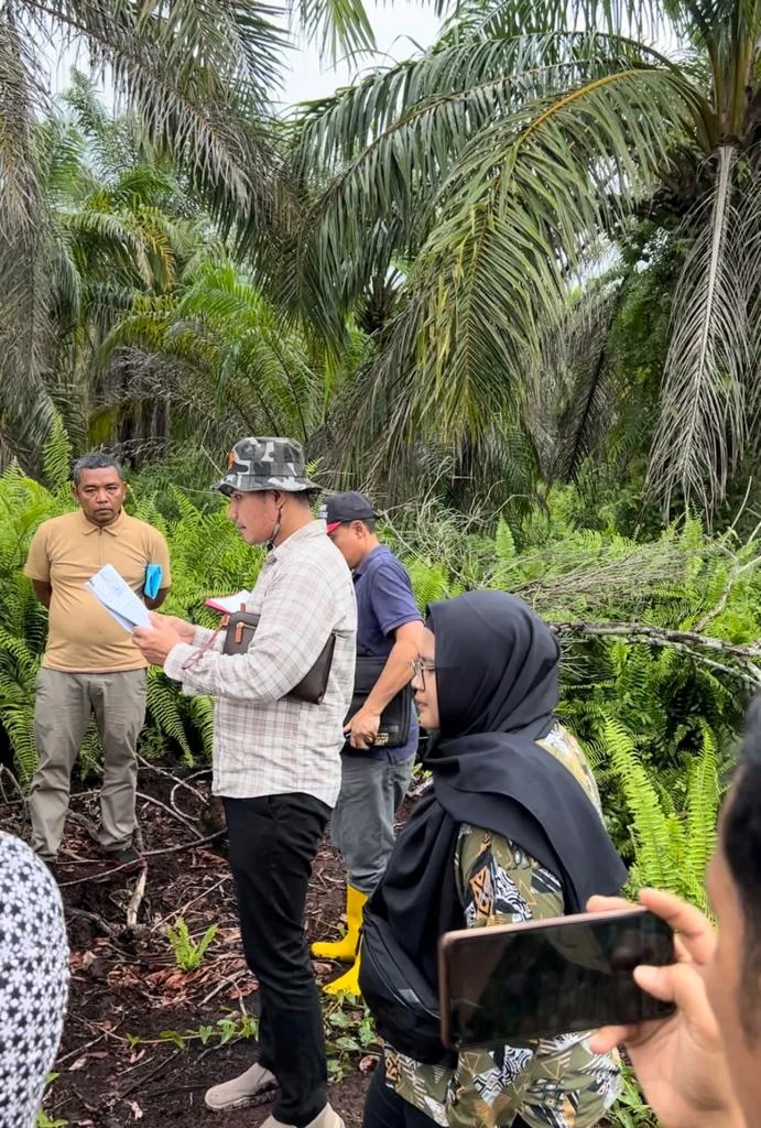 Pemeriksaan Setempat di Kampung Pebadaran Kecamatan Pusako Kabupaten Siak