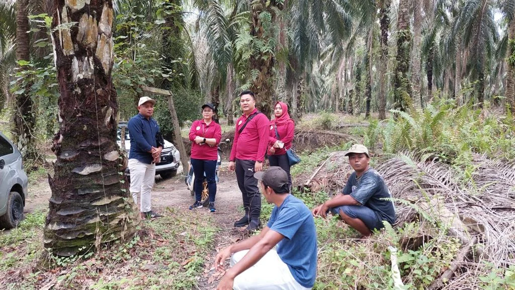 Pemeriksaan Setempat Nomor Perkara 31/Pdt.G/2023/PN Sak